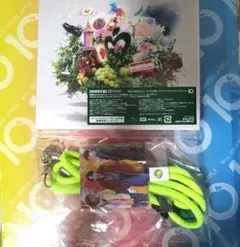 完全正規品☆CD＋DVD ミセスグリーンアップル 初回限定盤 10 アルバム