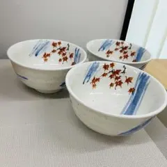 Item thumbnail for item 704cedab-c098-40dc-908b-5425819d1ab7