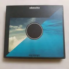 13.77 サカナクション/sakanaction