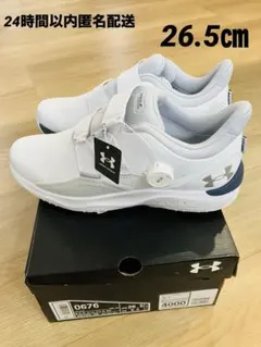 Item thumbnail for item dd3ad265-5b8c-4d57-8b71-f21534999132