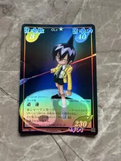 【絶版】道蓮 182/203 シャーマンキング カード スペシャルレア 初期 シャーマンキング カード 道蓮 182/203 スペシャルレア 初期 - メルカリ