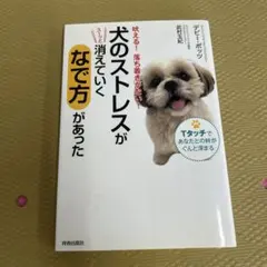 Item thumbnail for item 55ae6abb-2038-4d2d-80eb-3ae0f4c7412d