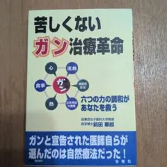 苦しくないガン治療革命 前田華郎のサムネイル