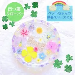 NO.247○固まるハーバリウム食品OK○お花のサークルトレイ/コースター