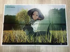 Fate/Grand Order 10周年 秋田魁新報掲載広告 ビショーネ