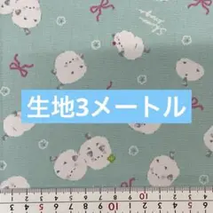 生地　3メートル　同封不可
