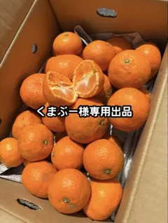 くまぶー様専用出品