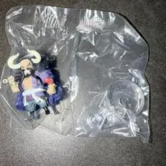 カイドウ　ワンピの実