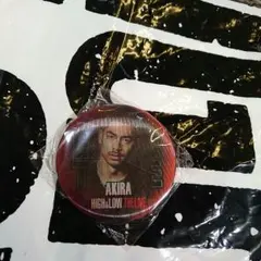 High＆Low カプセル AKIRA