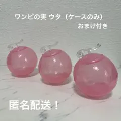 ワンピの実　ウタ　ケースのみ　おまけ付き