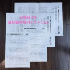 2026年最新】日能研夏期講習6年の人気アイテム - メルカリ