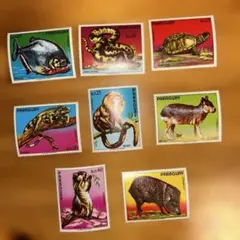 30%引き設定済みかんちゃん(^-^)様 リクエスト 3点 まとめ商品