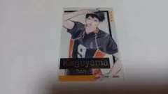 ハイキューファンパーク箔押しクリアカード