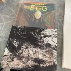 flumpool EGG Real CD/DVD 限定版
