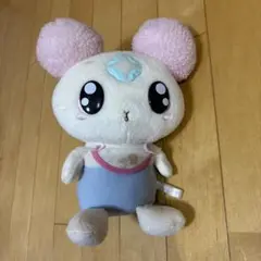 シフォンお世話になります