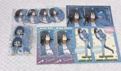 ウィンブレ 缶バッジ サンリオ 杉下