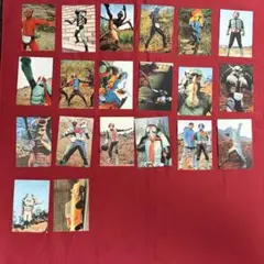 1999年 カルビー 仮面ライダー チップス カード 19枚