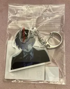 2026年最新】結城 理の人気アイテム - メルカリ