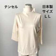 Item thumbnail for item 734d11b4-7949-46a6-b8e0-8b058e66ebb6