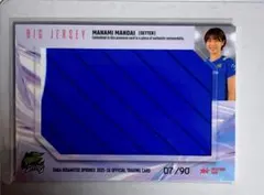 Item thumbnail for item a8cbf807-c0c6-4e49-bfea-18db966e4c7f