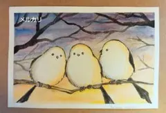 自作　手描きイラスト　ポストカード　原画　「夕焼けシマエナガ」