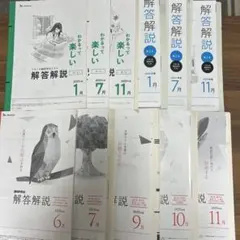 進研模試 解答解説➕問題のサムネイル
