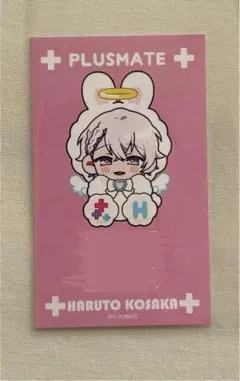 PLUSMATE プラスメイト ステラワースPOPUP 香坂晴斗