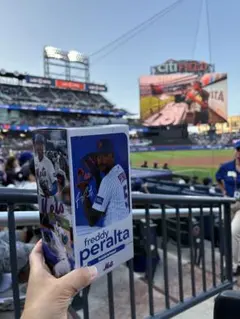 Freddy Peralta Mets ボブルヘッド　フィギュアのサムネイル