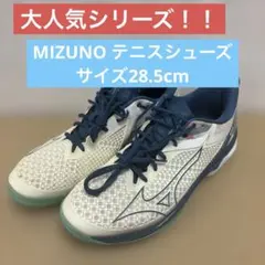 ミズノ（MIZUNO）メンズテニスシューズ ウエーブエクシード ツアー5 AC