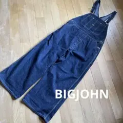 BIGJOHN WORLD WORKERS デニムオーバーオール L サロペット