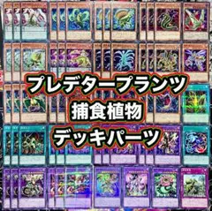 遊戯王　捕食植物　プレデタープランツ　ユーリ　デッキパーツ まとめ