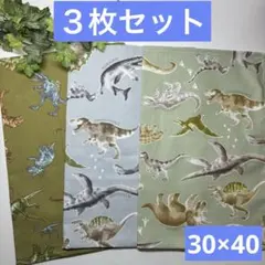 ３枚組★ランチョンマット★給食ナフキン★恐竜A