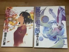 龍骨 田中久仁彦画集 初版 （輸送箱/ポストカード/A4イラストカード付き） 龍骨 田中久仁彦画集 初版 （輸送箱/ポストカード/A4イラスト