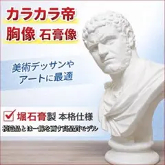 2026年最新】カラカラ帝の人気アイテム - メルカリ