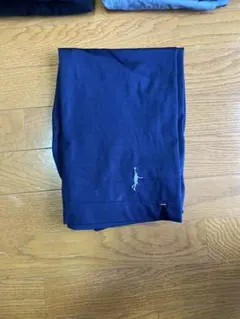 インザペイント バスパン