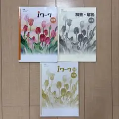 iワーク 地理・解答・解説 3冊セット