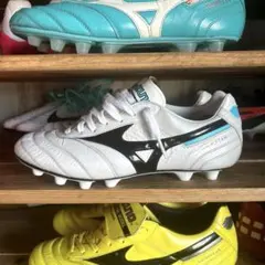 Item thumbnail for item 32021dc4-032f-425a-bb7d-7ec9a0bded3a