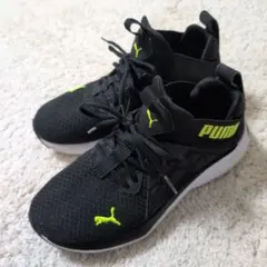 プーマ スニーカー（25cm）