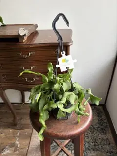 Art13様 リクエスト 2点 まとめ商品