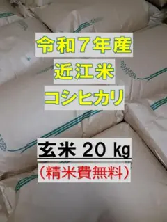 令和7年産　近江米　コシヒカリ　玄米20kg(精米費無料) 令和7年産 近江米 コシヒカリ 玄米20kg(精米費無料) - メルカリ