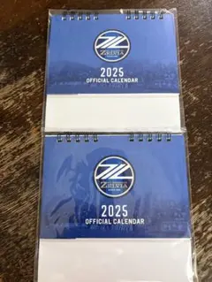 ZELVIA 2025 Official Calendar