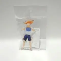 ハイキュー!! アクキー 日向翔陽 ビーチボールver 未開封