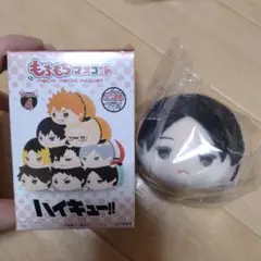 ハイキュー　もちもちマスコット　国見英　☆