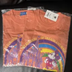 Item thumbnail for item 00c470a4-7681-41ee-9835-3b3334e2574c