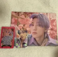 SEVENTEEN シーグリ 2023 ディエイト