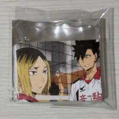ハイキュー‼︎ 孤爪研磨 黒尾鉄朗 ミニキャンバス 音駒