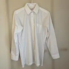 Item thumbnail for item 80d0c7cd-f24a-45d6-976f-d5953521d01f