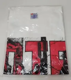 完全未開封】D.T.R1stツアーTシャツHanes L TAIJI 沢田泰司 - メルカリ