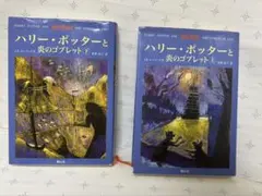 Item thumbnail for item 7079cb6c-bb0e-40bf-a4f4-c1e7ea3c0e51