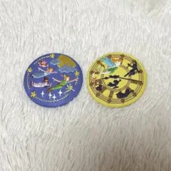 ディズニー刺繍缶バッジ　ピーターパン・ティンカーベル